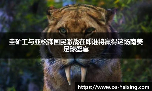 海星体育